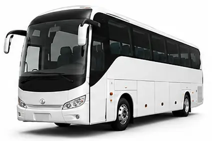 Coach